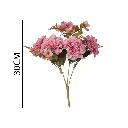 631249ROSA.webp