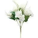 630668白.webp