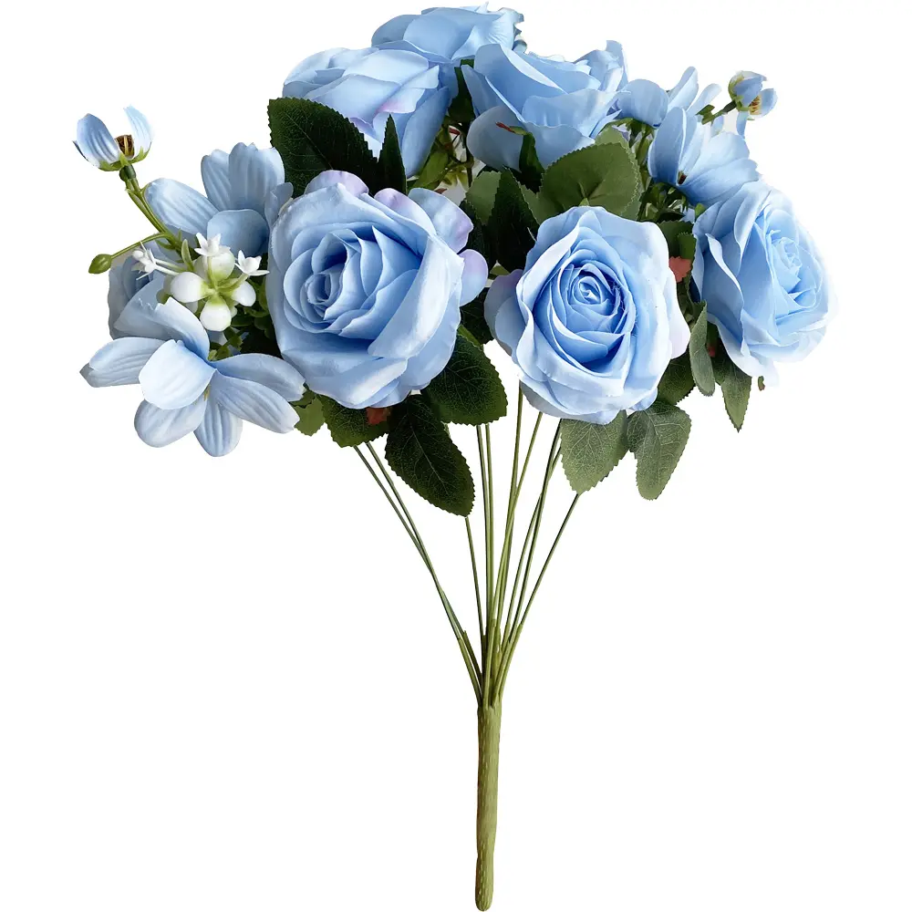 630721蓝色.webp