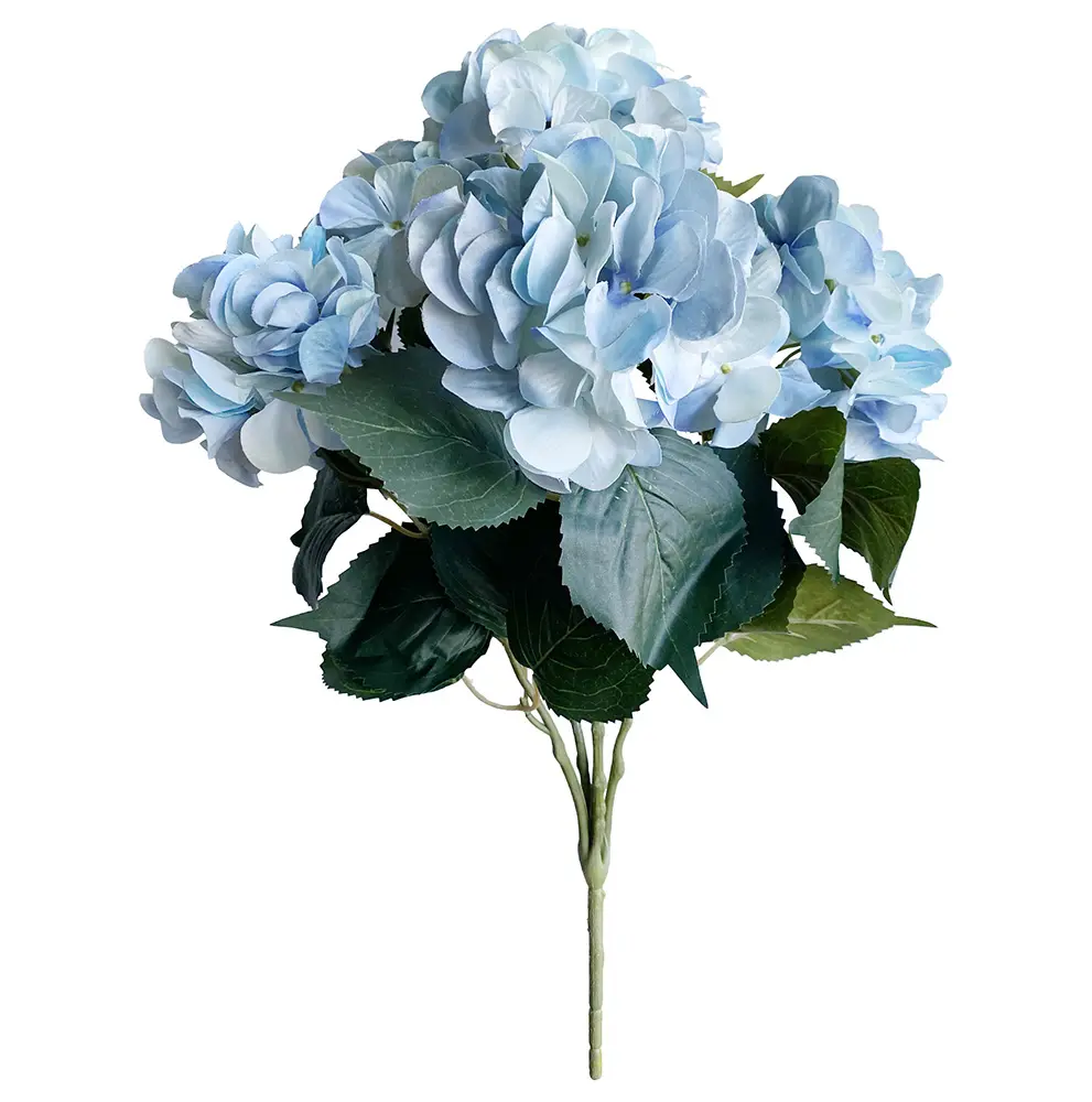 630809蓝.webp