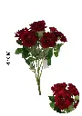 630885-大红.webp