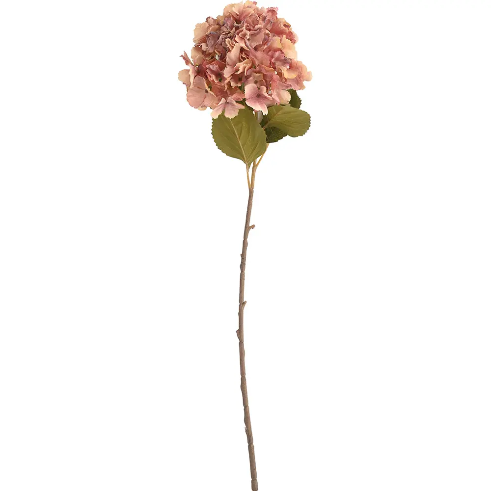 630986粉紫.webp