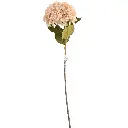 630986奶白.webp