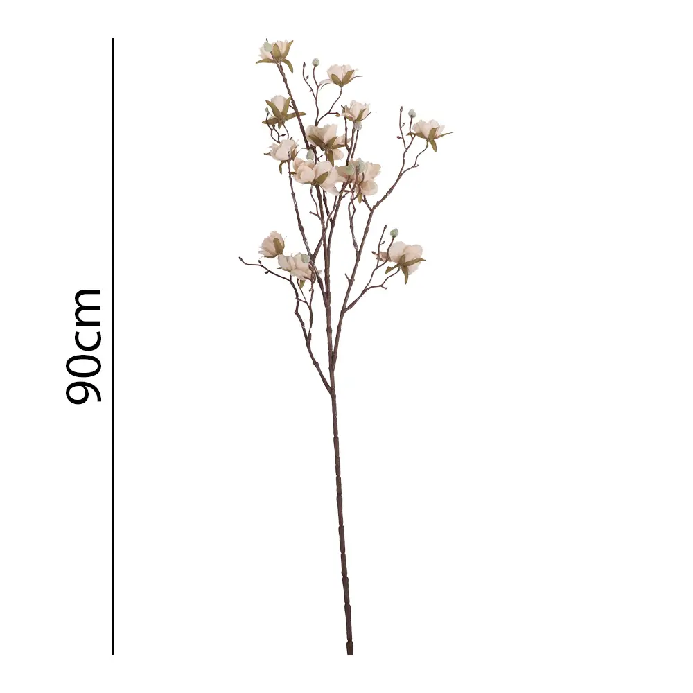 631409-1.webp