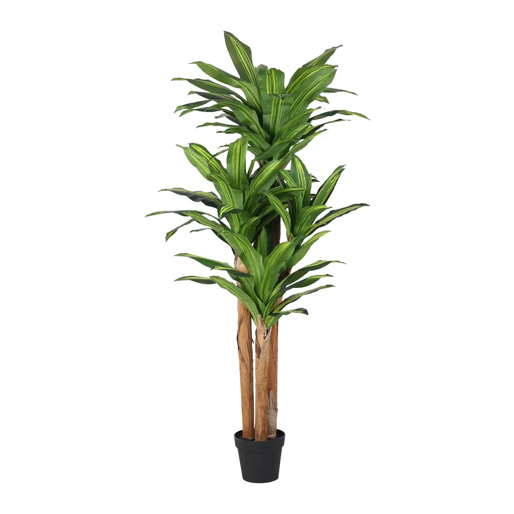 PLANTA ARTIFICIAL DRÁCENA 180cm