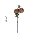 Vara flor rosa 55cm 单枝3头雅典玫55cm
