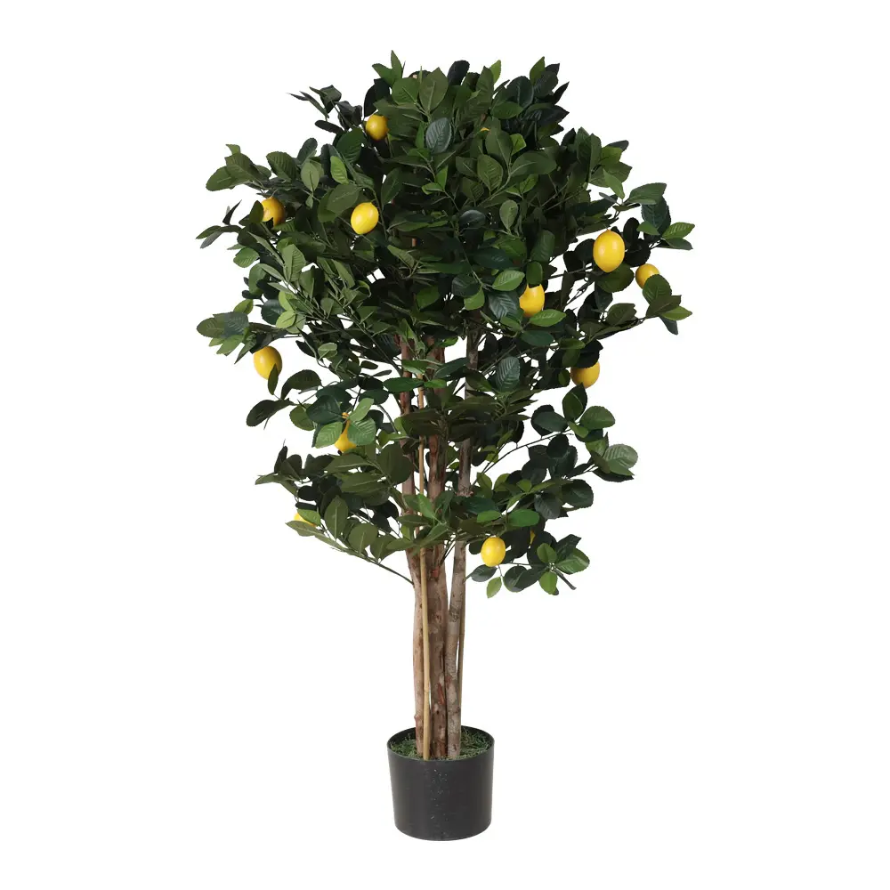 120cm Lemonero con maceta