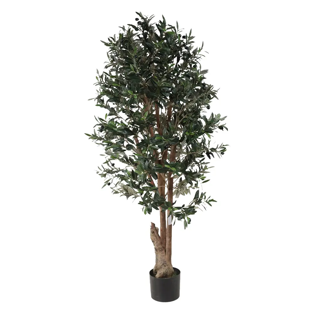150cm Olivo con maceta