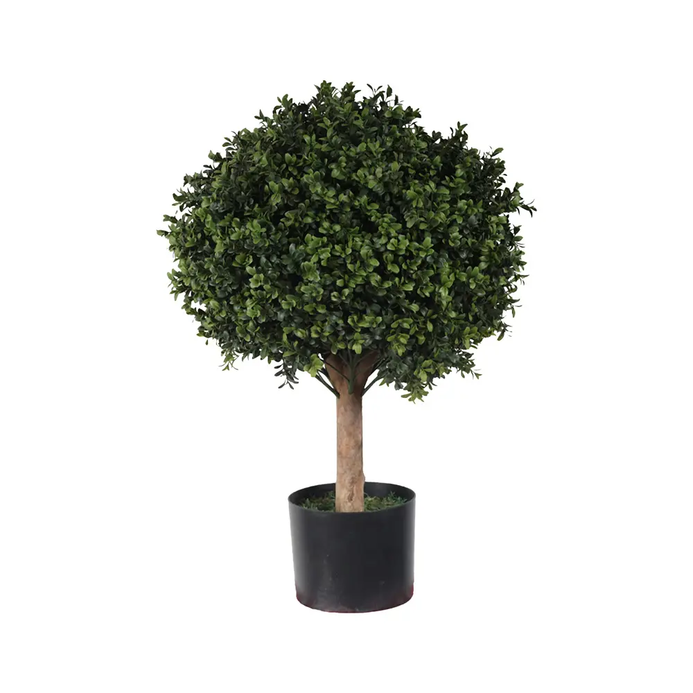 70cm H ,50cmØ baxus ball con meceta