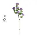 Vara Hortensia 80cm 6头碎花绣球