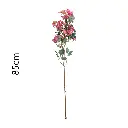 Vara Hortensia 85cm莱菲迷你绣球85CM
