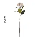 Vara Hortensia 90cm 单支贝壳绣球90CM