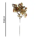 vara Hibisco otonal 芙蓉树110CM