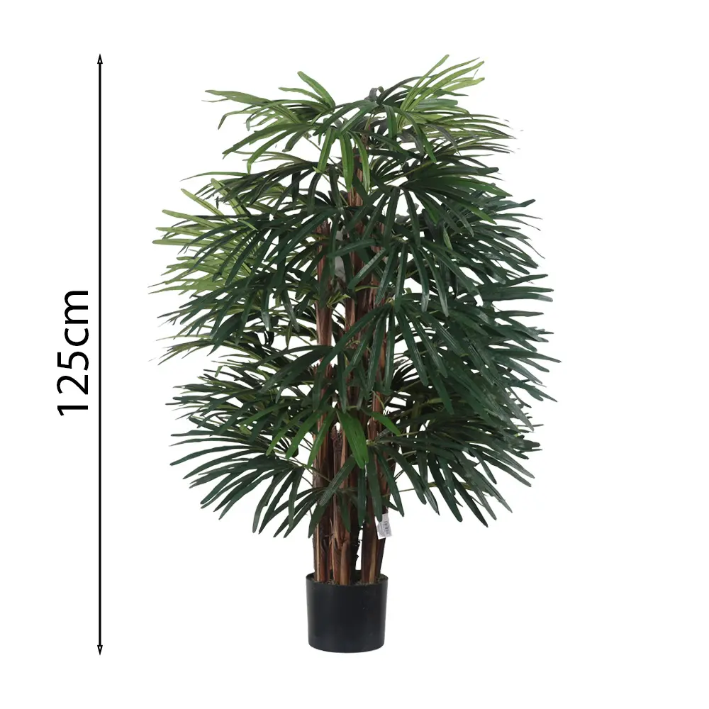 120cm Raphis palm with pot