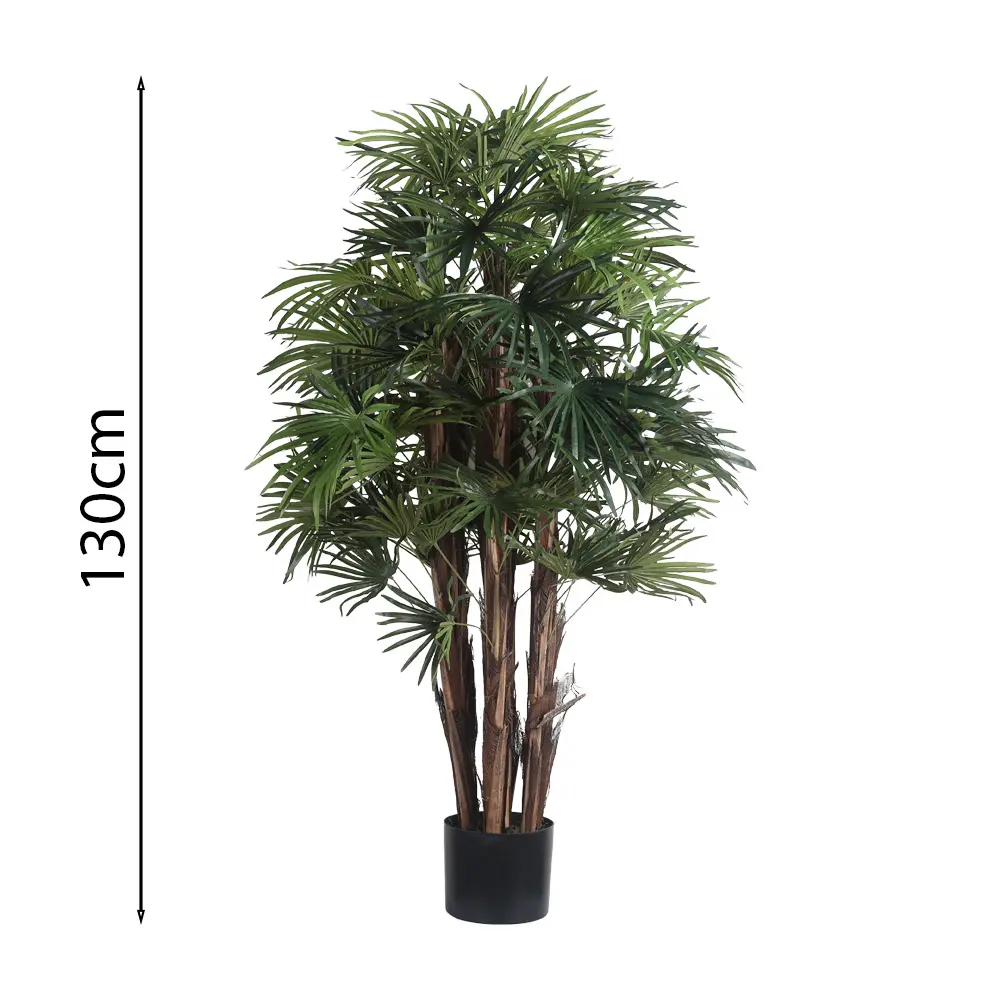 120cm Raphis palm with pot