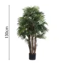 120cm Raphis palm with pot