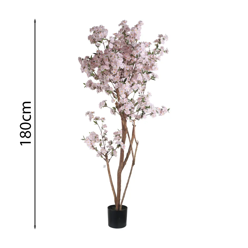 180cm Cherry blossom tree pink with pot