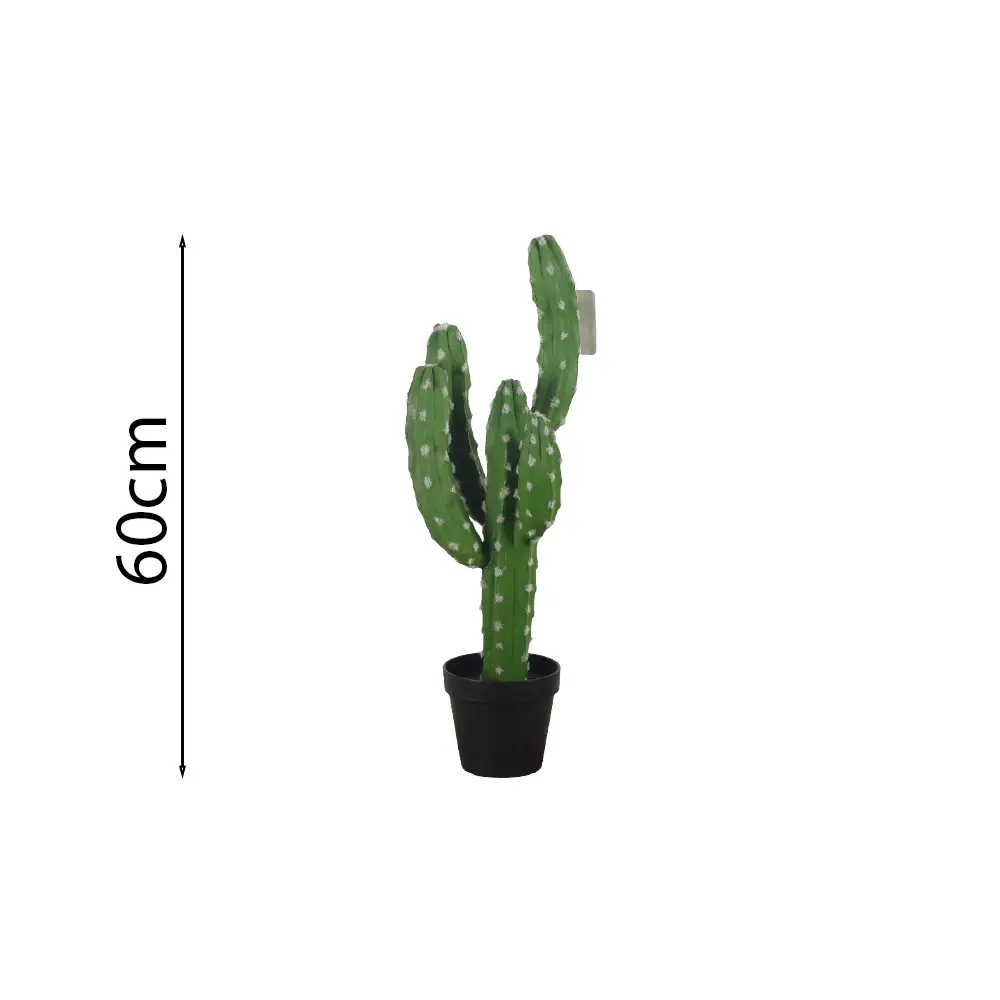 Chichipe 60cm