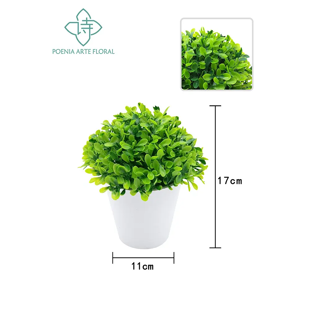 PLANTA CON MACETA