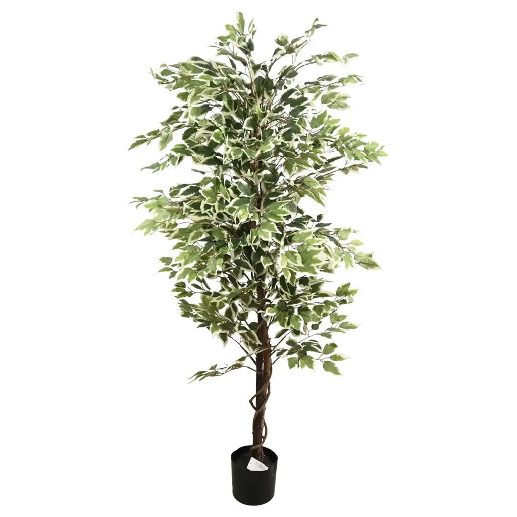 Arbol FICUS 170CM