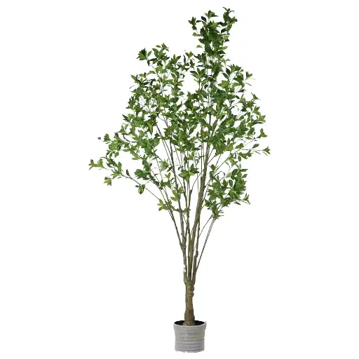[631430] Pieris japonica artificial 220cm