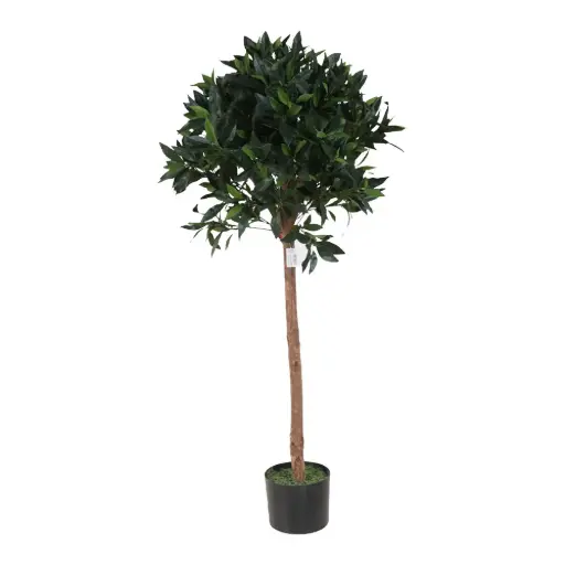 [631345] 120cm Laurel tree con maceta