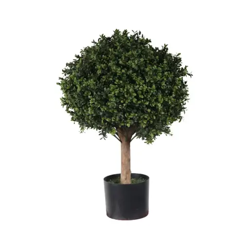 [631349] 70cm H ,50cmØ baxus ball con meceta