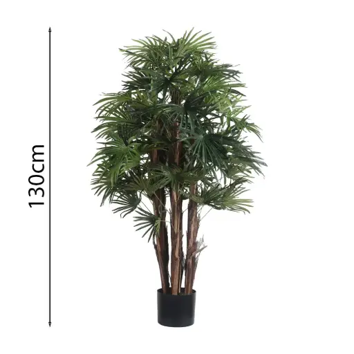 [631355] 120cm Raphis palm with pot