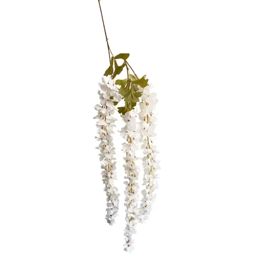 [631502.4] Vara Wisteria sinensis Crema 130cm