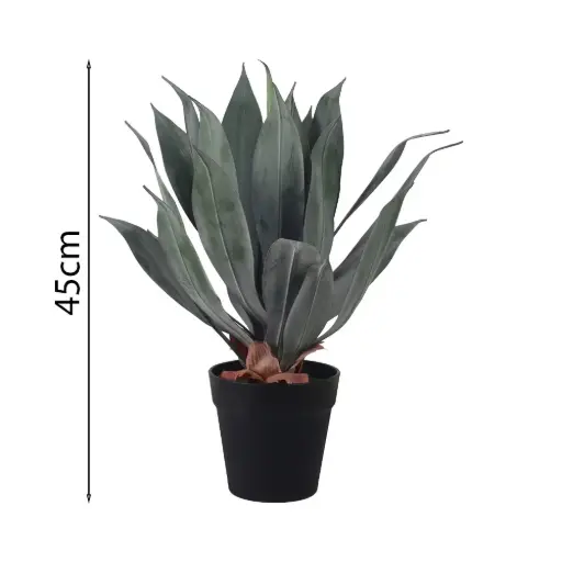 [631526] Planta de Agave Esmeralda de 45 cm en Maceta con 24 Hojas