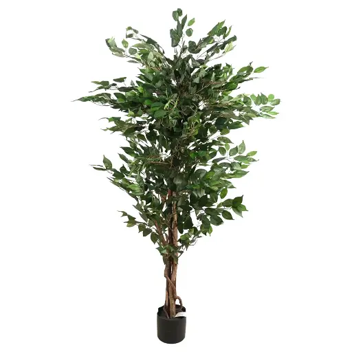 [630529] Arbol  FICUS 170CM