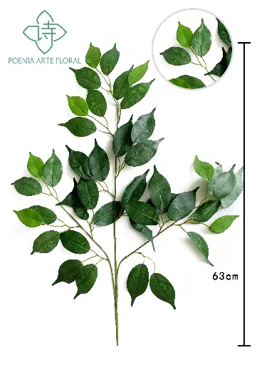 [630523] 22" FICUS HOJA X42 LVS