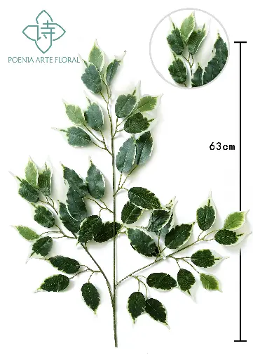 [630524] 22" FICUS SPARY X42 LVS