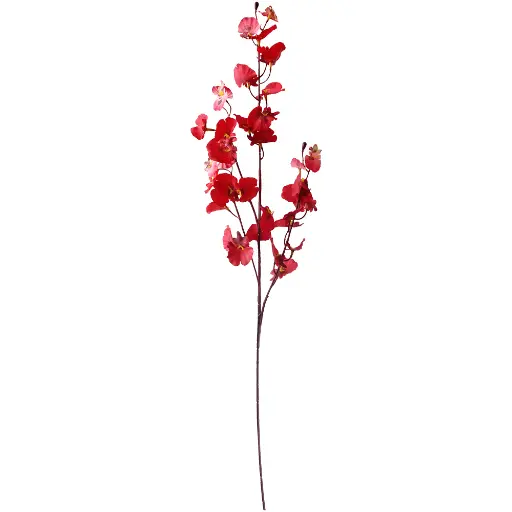 [630663] VARA FLOR