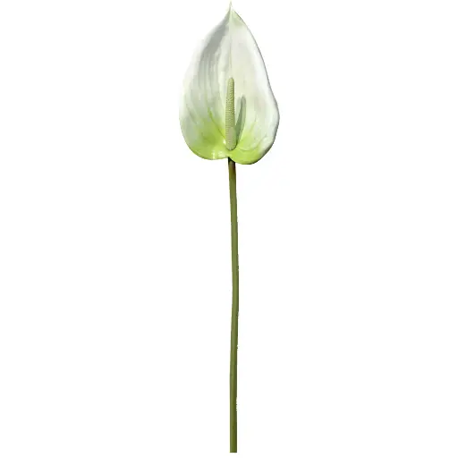 [630745] VARA ANTURIO ARTIFICIAL 85CM