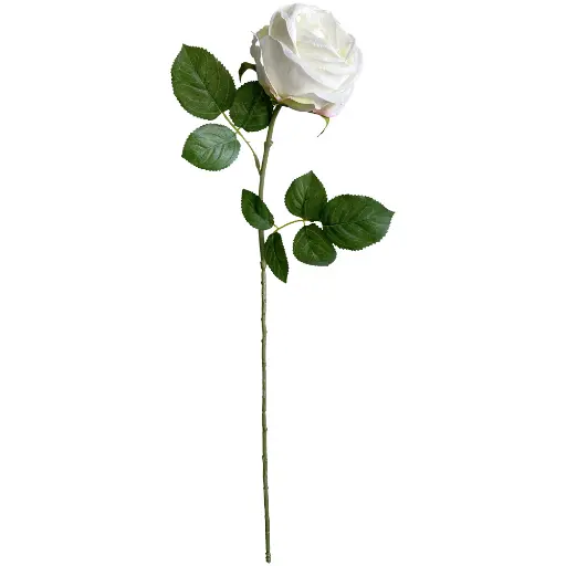 [630893] VARA ROSA*1