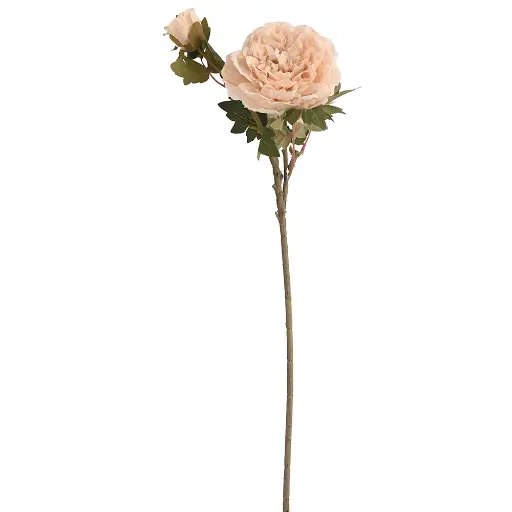 [630989] VARA FLOR PEONIA*2 70CM
