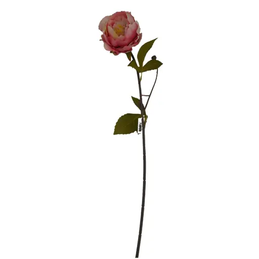 [630772] VARA FLOR PEONIA 66CM