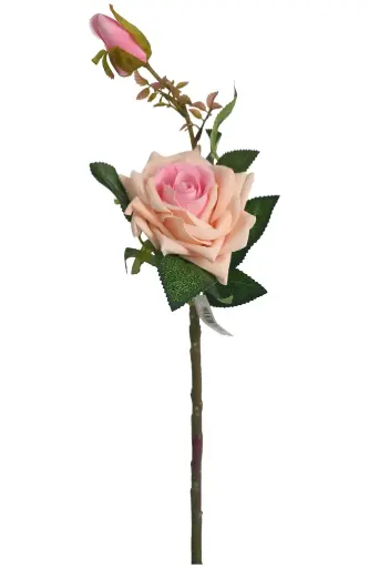 [630888] ROSA*2 TALLO CORTA