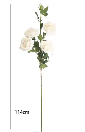 [630891] VARA ROSA*5 104CM
